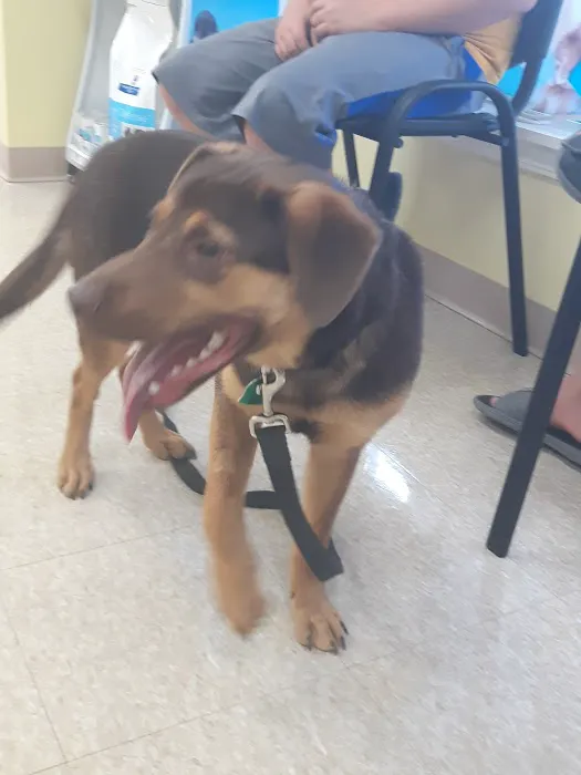 Heartland Veterinary Care 5