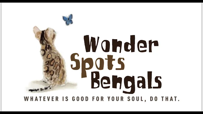 Wonder Spots Bengals 2