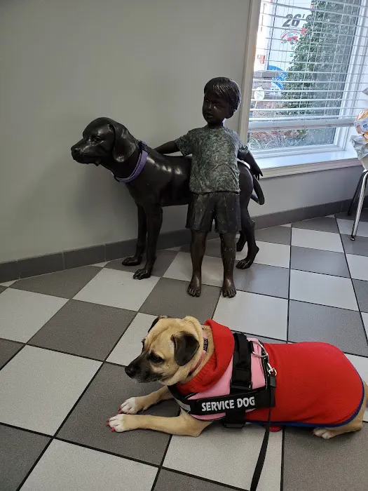 Animal Health & Wellness Center 6