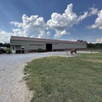 Kentucky Lake Equine Hospital ico