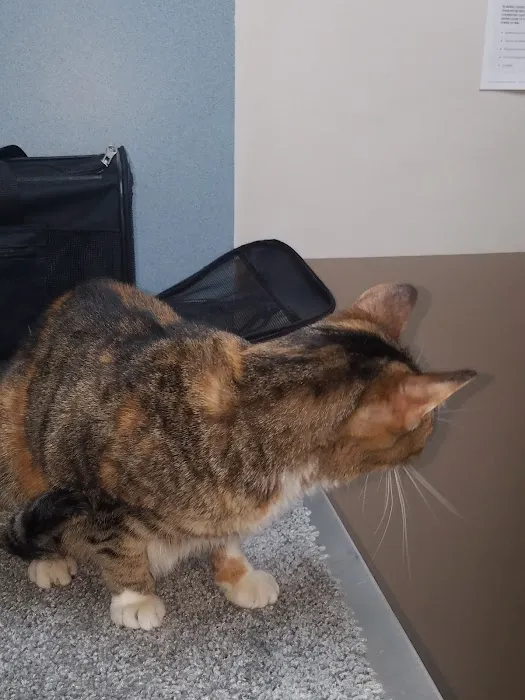 Bluegrass Animal Healthcare 3
