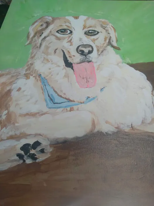 Bluegrass Animal Healthcare 6