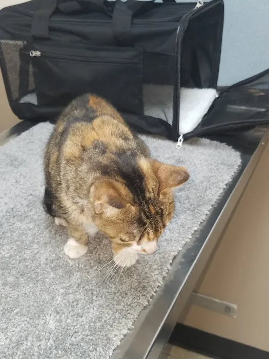 Bluegrass Animal Healthcare 5