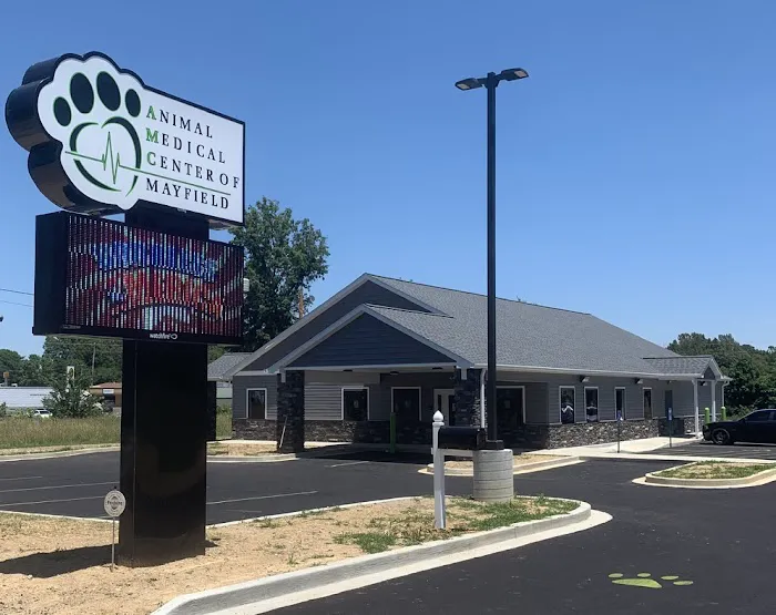 Animal Medical Center of Mayfield 3