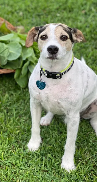 Animal Medical Center of Mayfield 6