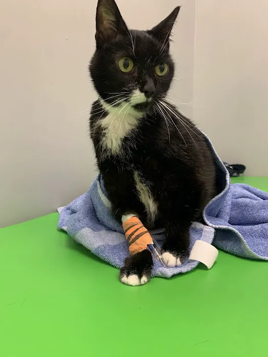 Animal Medical Center of Mayfield 5