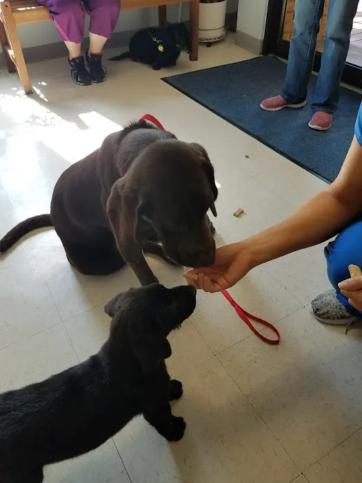East Brook Animal Clinic 3