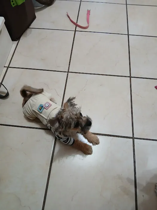 East Brook Animal Clinic 8