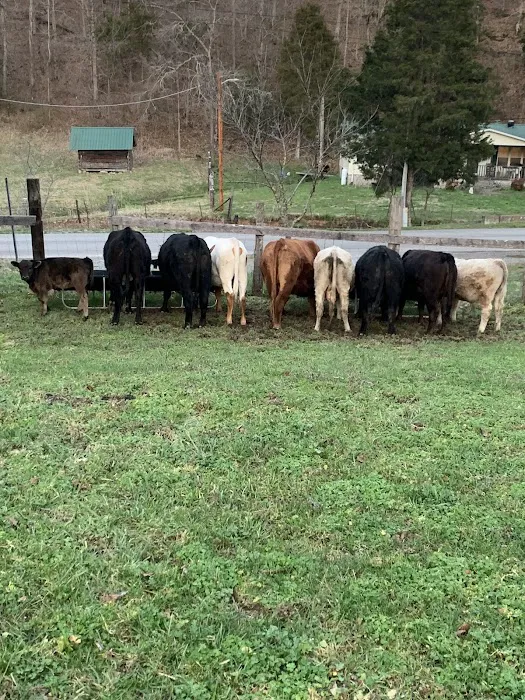 Houston County Animal Clinic 2
