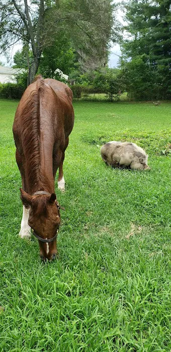 Houston County Animal Clinic 3