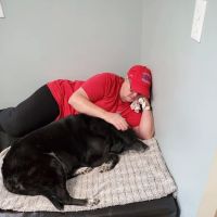 Houston County Animal Clinic ico