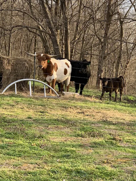 Houston County Animal Clinic 6