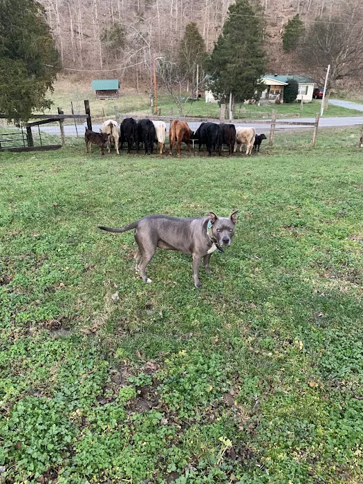 Houston County Animal Clinic 5