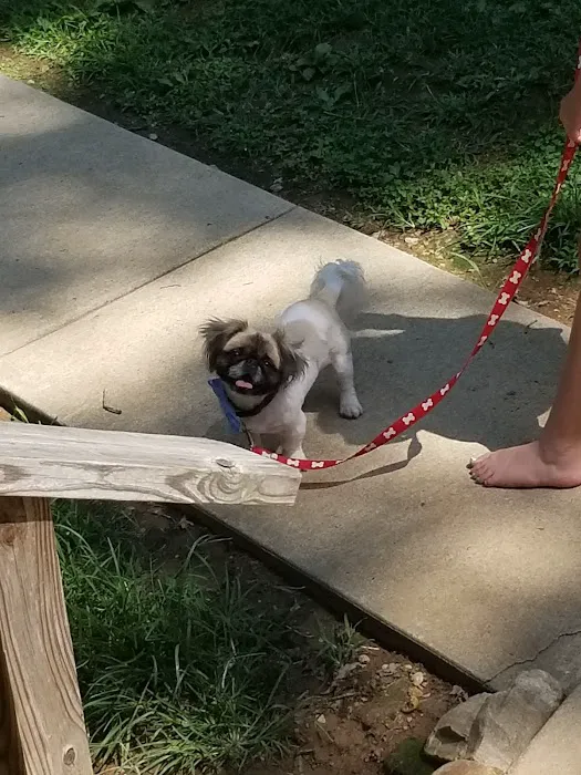 Houston County Animal Clinic: Turney Mark DVM 2
