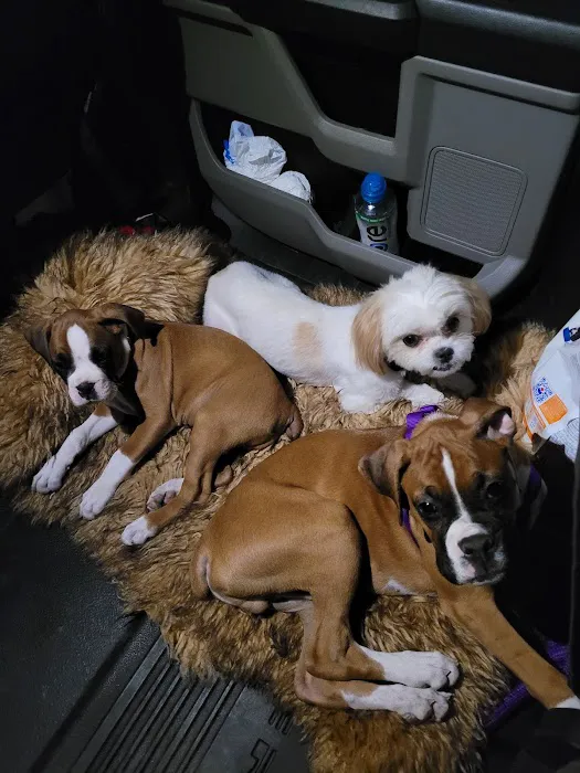 Salado Veterinary Hospital & Urgent Care 9