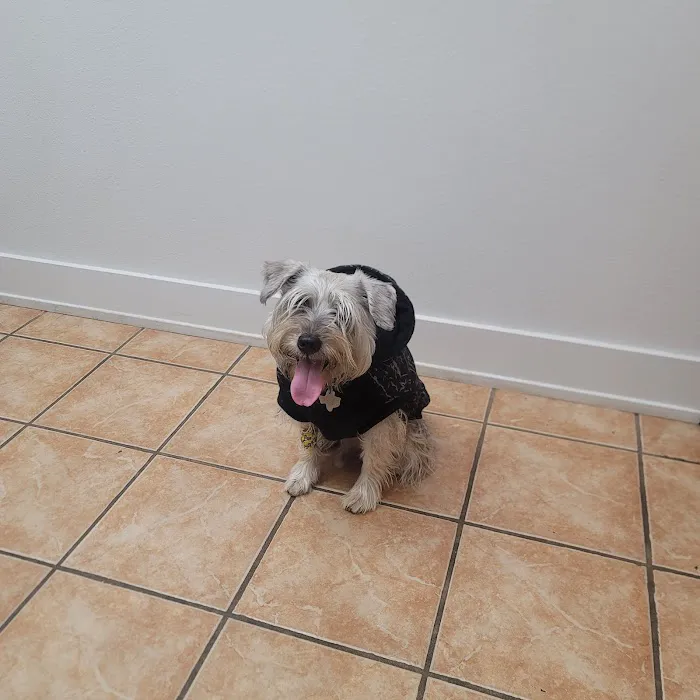 Belton Veterinary Clinic 5