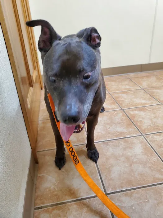 Belton Veterinary Clinic 4