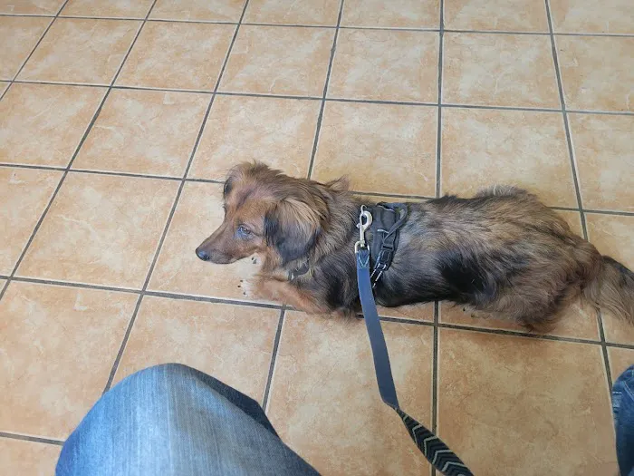 Belton Veterinary Clinic 8