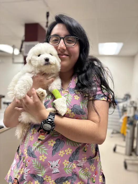 Belton Small Animal Clinic 1