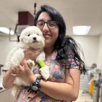 Belton Small Animal Clinic ico