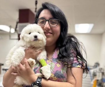 Belton Small Animal Clinic