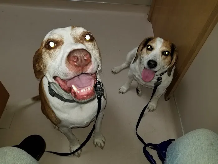 Belton Small Animal Clinic 5