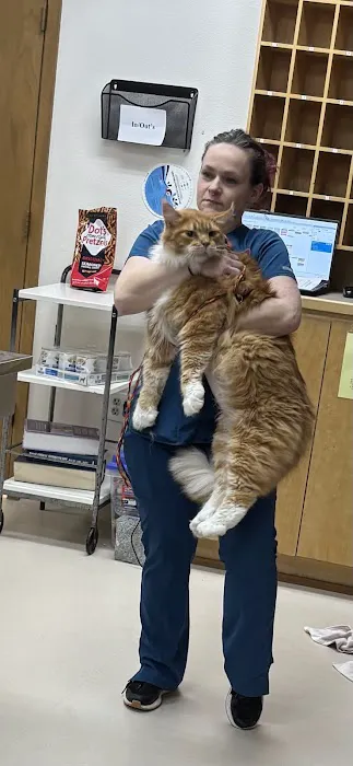 Belton Small Animal Clinic 7