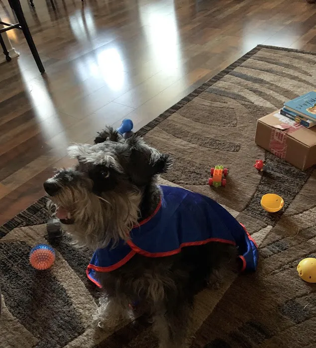 Family Pet Clinic 2