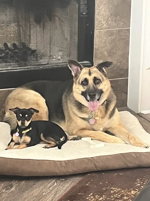 Family Pet Clinic 3