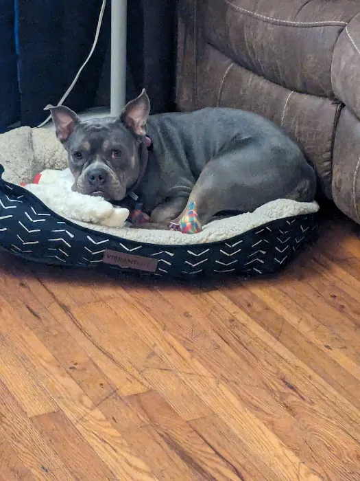 Family Pet Clinic 10