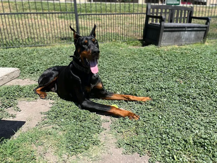 Family Pet Clinic 7