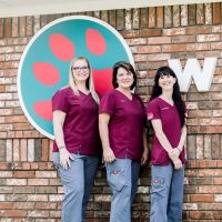 Pet Medical Center ico