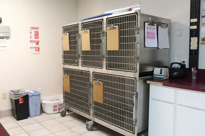 Pet Medical Center 5