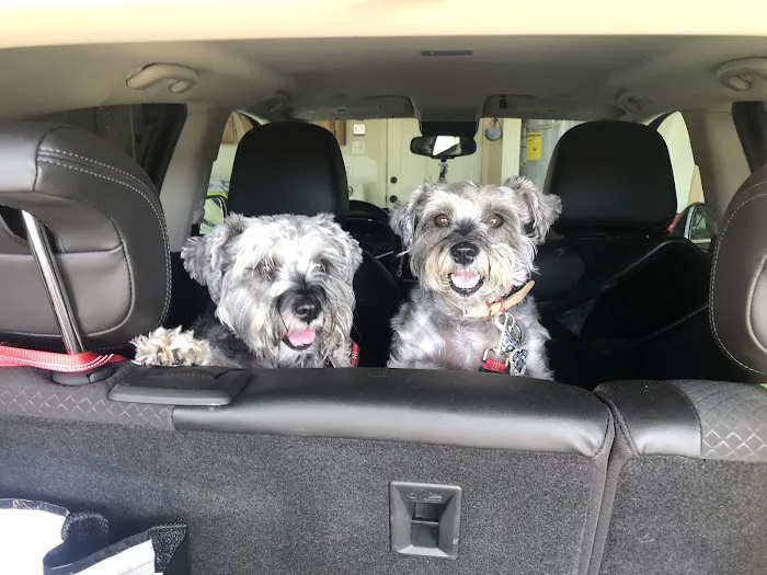 Pet Medical Center 9