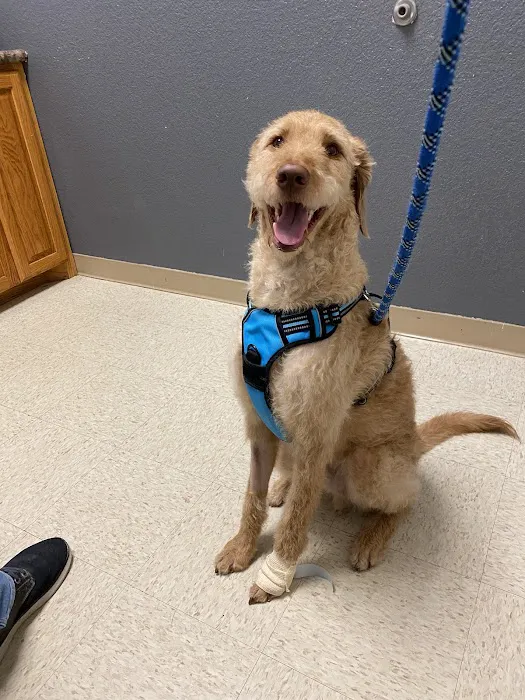 Animal Emergency Center of Temple- Belton 10