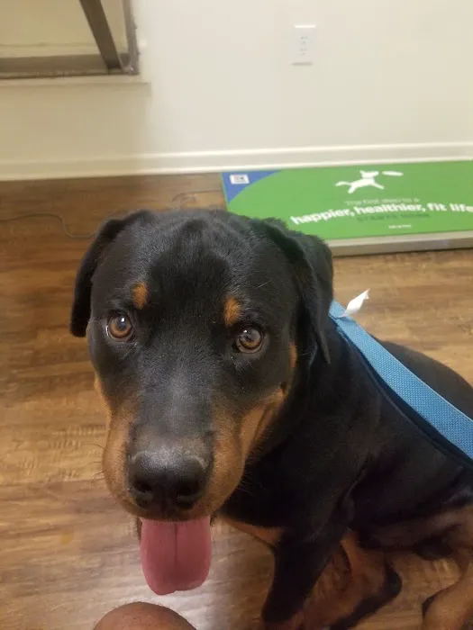 Aztec Pet Hospital 5