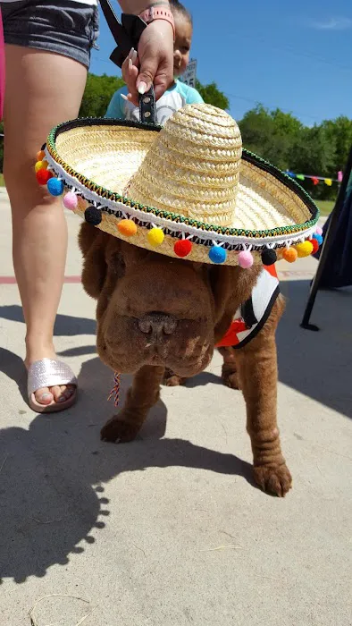 Aztec Pet Hospital 8