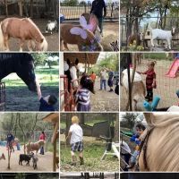 Recovery Ranch ico