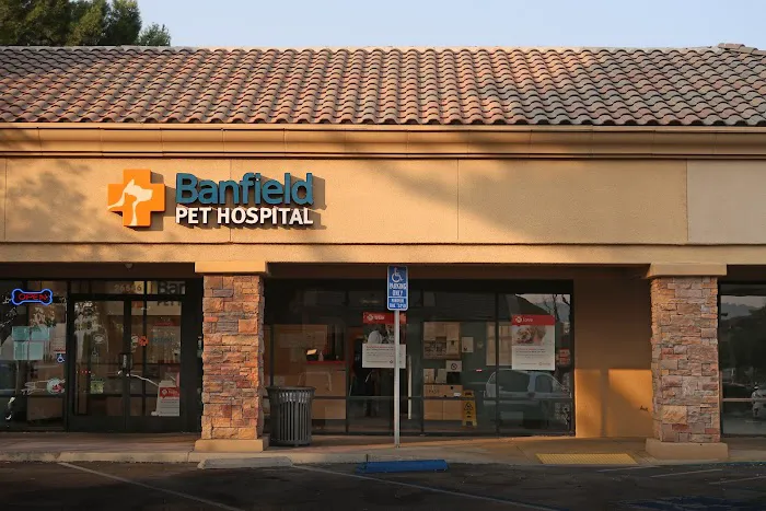 Banfield Pet Hospital 4