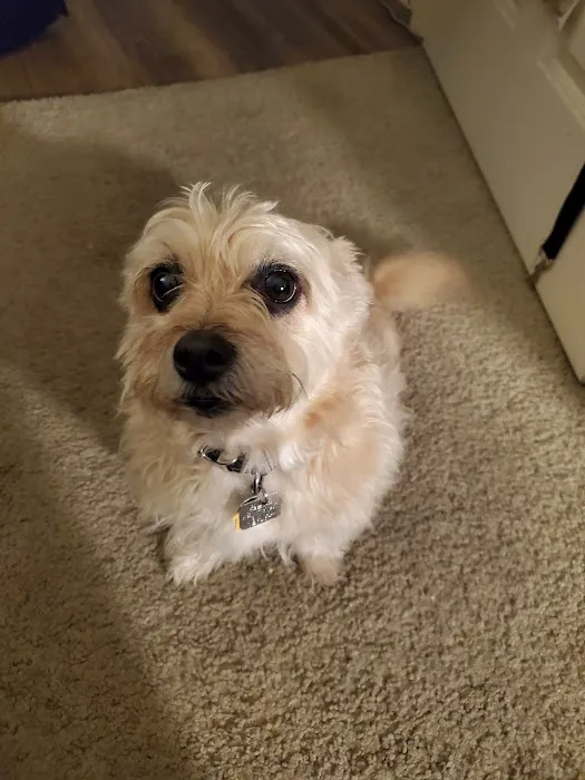 Banfield Pet Hospital 7