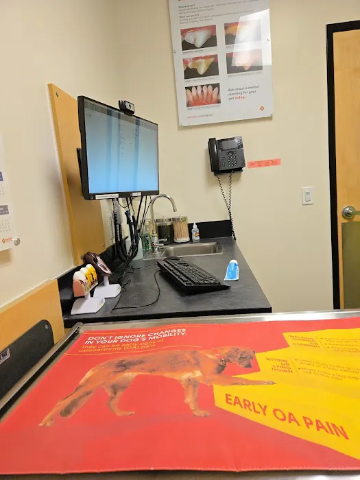 Banfield Pet Hospital 10