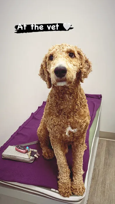 Copper Hill Animal Clinic 4