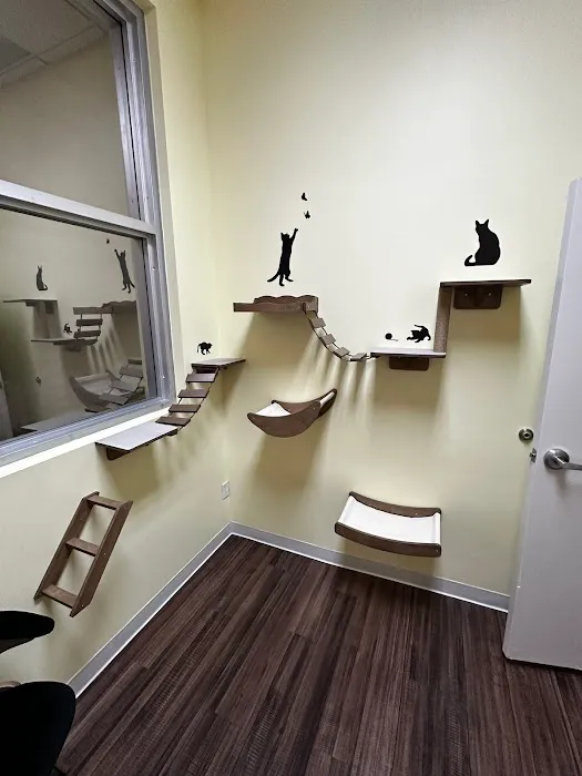 Treehouse Animal Hospital 3