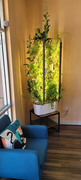 Treehouse Animal Hospital 9