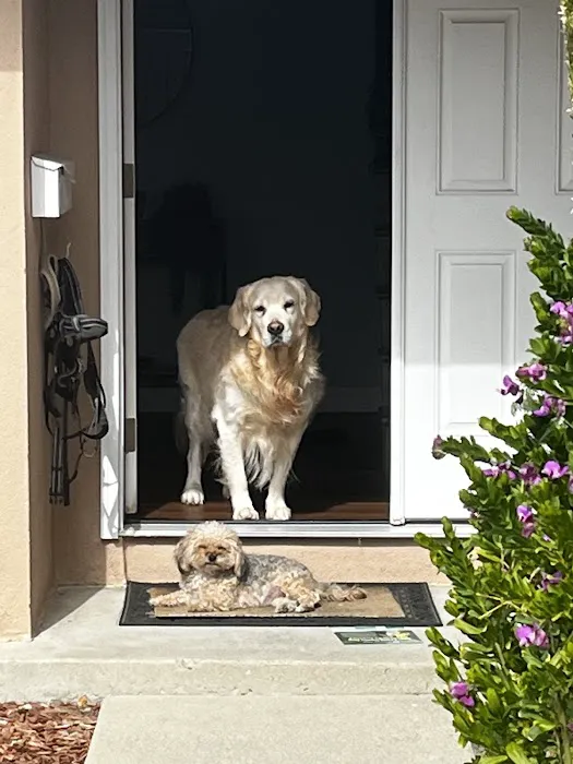 Valencia Veterinary Center 3