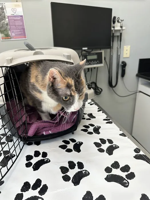 Valencia Veterinary Center 1
