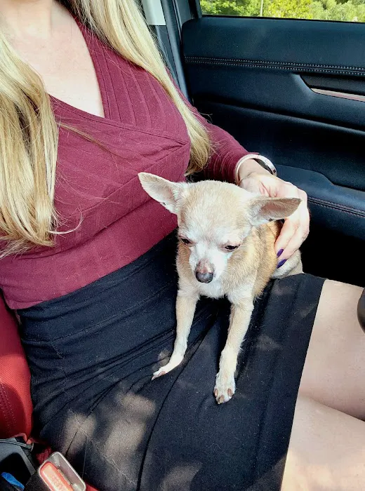 Valencia Veterinary Center 2