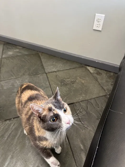 Valencia Veterinary Center 8