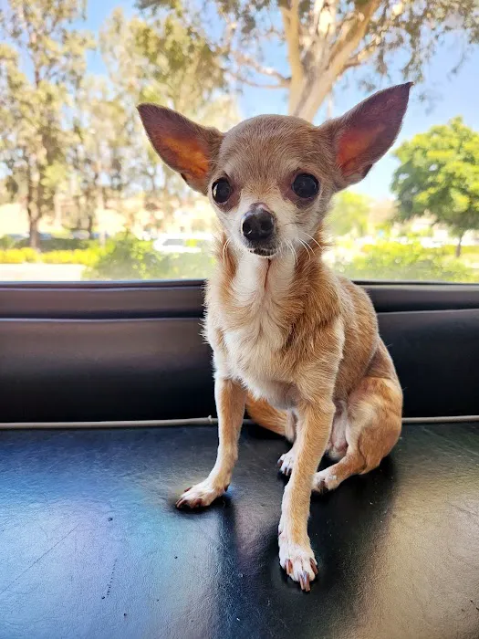 Valencia Veterinary Center 5