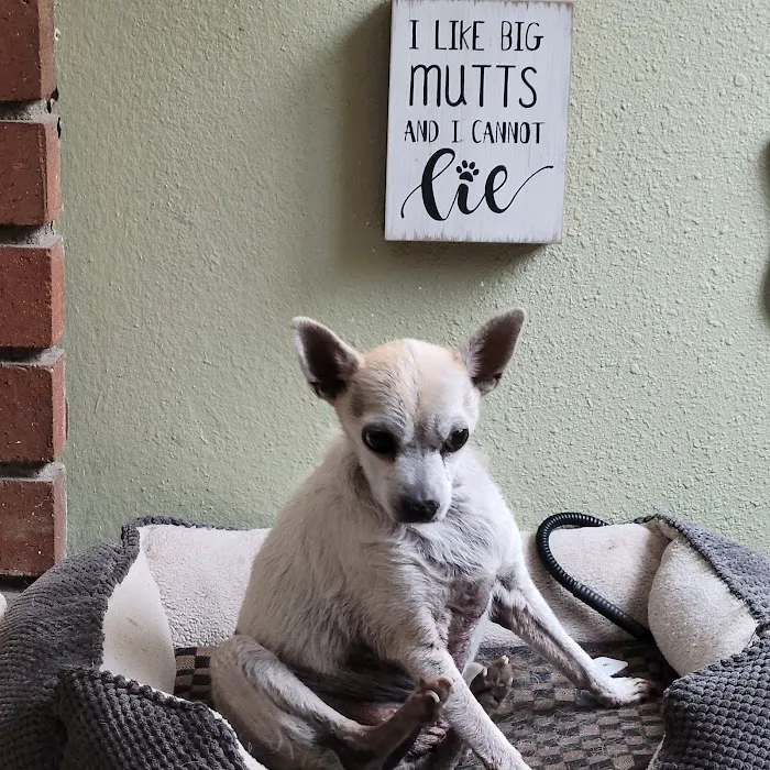 Saugus Animal Hospital 5